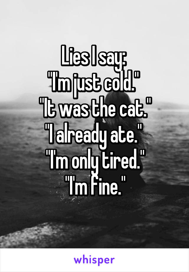 Lies I say: 
"I'm just cold." 
"It was the cat."
"I already ate." 
"I'm only tired."
"I'm fine."
