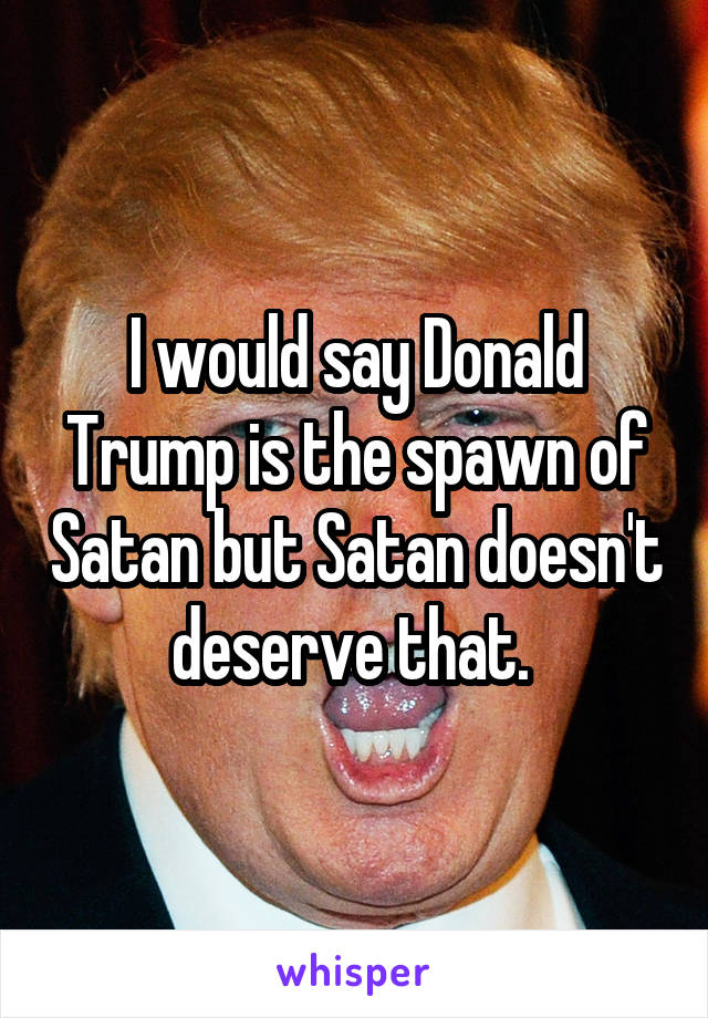 I would say Donald Trump is the spawn of Satan but Satan doesn't deserve that. 