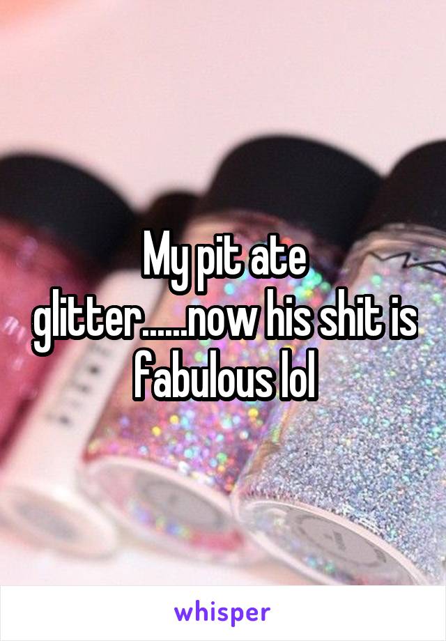 My pit ate glitter......now his shit is fabulous lol