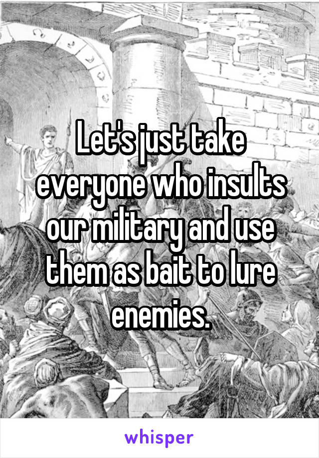 Let's just take everyone who insults our military and use them as bait to lure enemies.