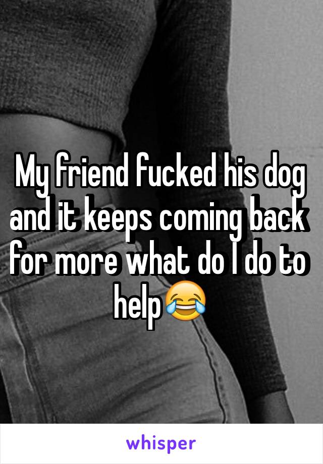 My friend fucked his dog and it keeps coming back for more what do I do to help😂
