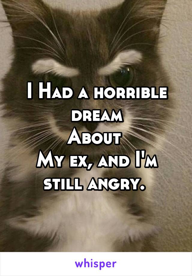 I Had a horrible dream
About 
My ex, and I'm still angry. 