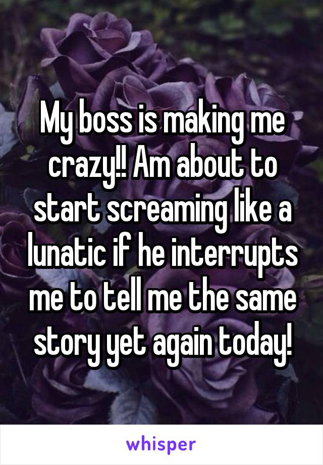 My boss is making me crazy!! Am about to start screaming like a lunatic if he interrupts me to tell me the same story yet again today!