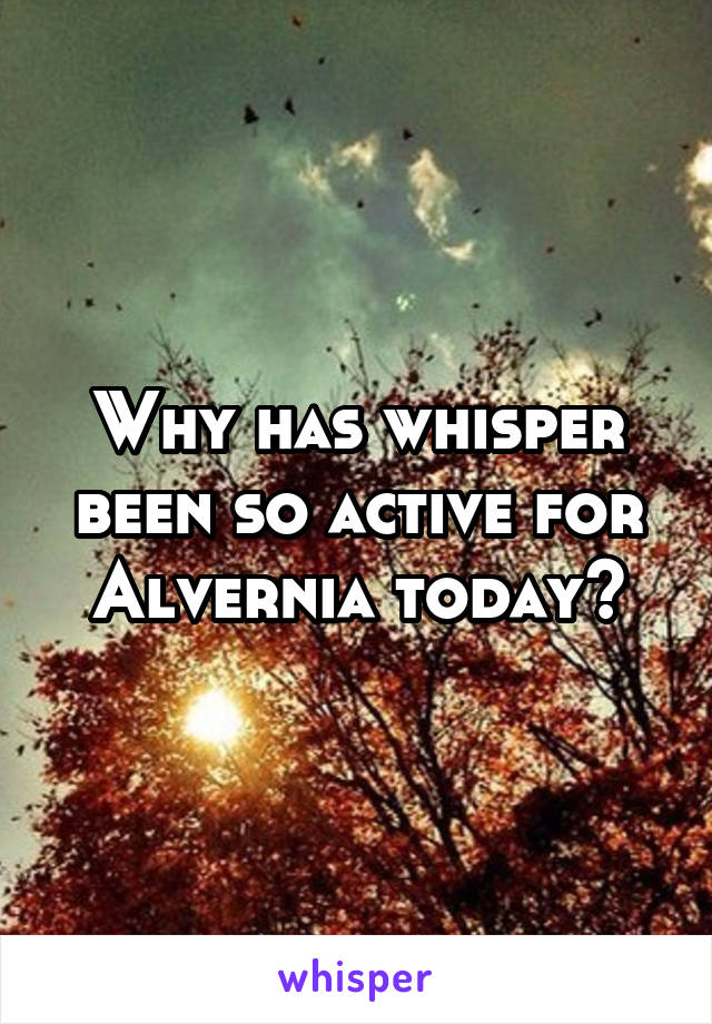 Why has whisper been so active for Alvernia today?
