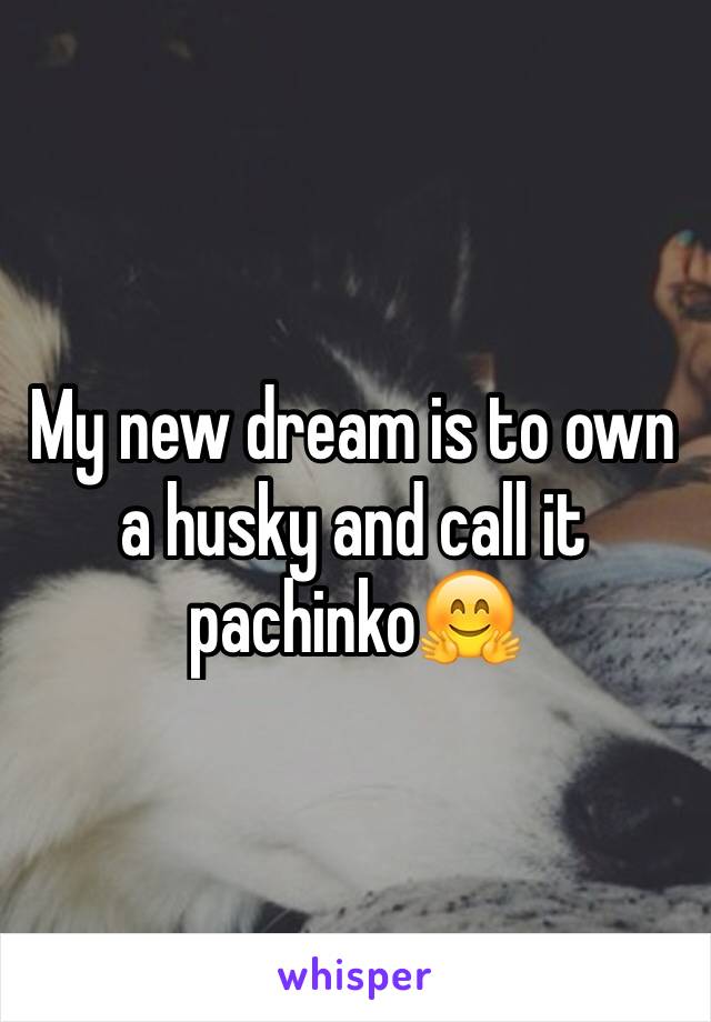 My new dream is to own a husky and call it pachinko🤗