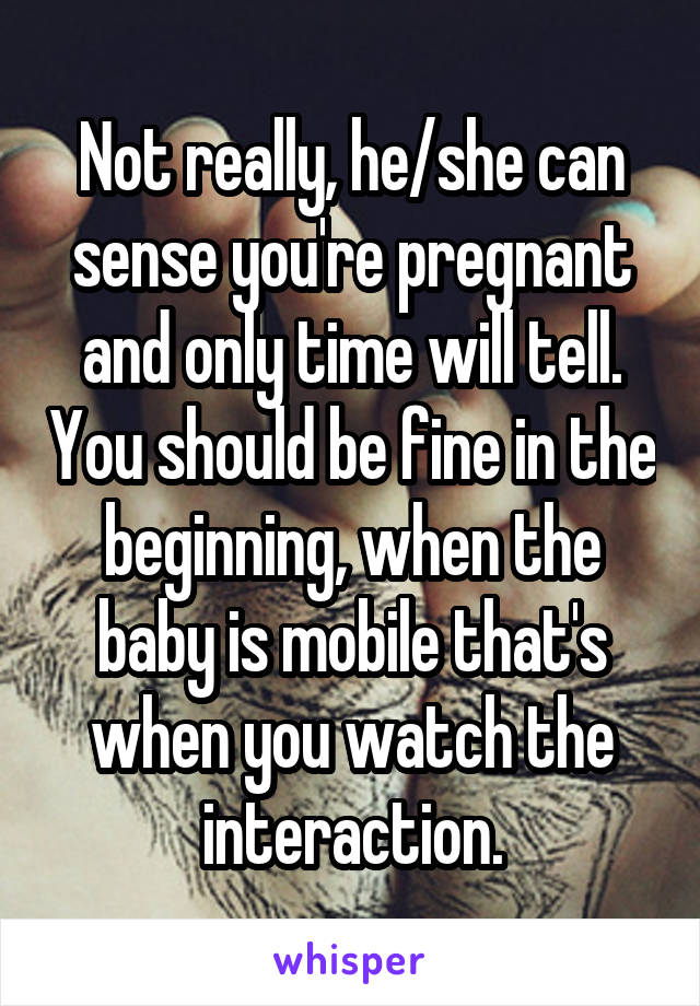 Not really, he/she can sense you're pregnant and only time will tell. You should be fine in the beginning, when the baby is mobile that's when you watch the interaction.