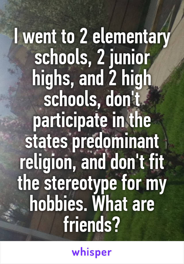 I went to 2 elementary schools, 2 junior highs, and 2 high schools, don't participate in the states predominant religion, and don't fit the stereotype for my hobbies. What are friends?