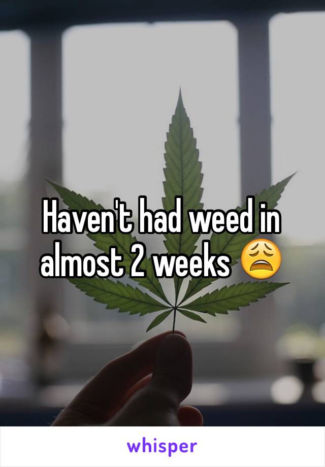 Haven't had weed in almost 2 weeks 😩