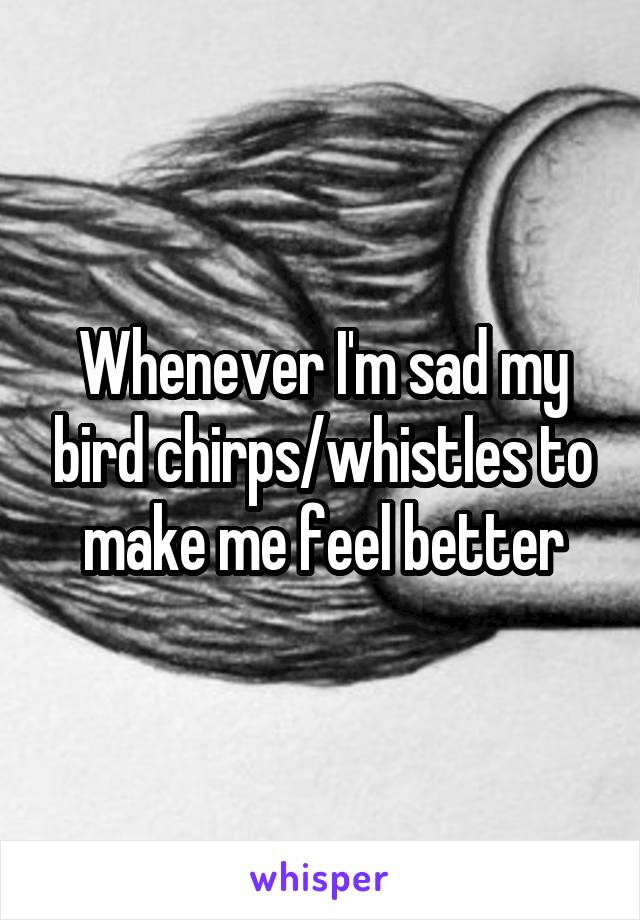 Whenever I'm sad my bird chirps/whistles to make me feel better