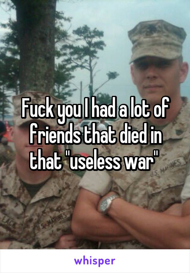 Fuck you I had a lot of friends that died in that "useless war" 