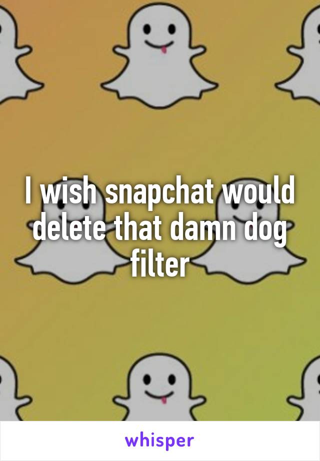 I wish snapchat would delete that damn dog filter