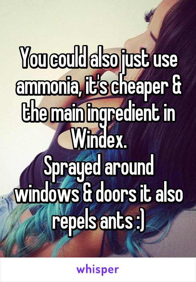 You could also just use ammonia, it's cheaper & the main ingredient in Windex.
Sprayed around windows & doors it also repels ants :)