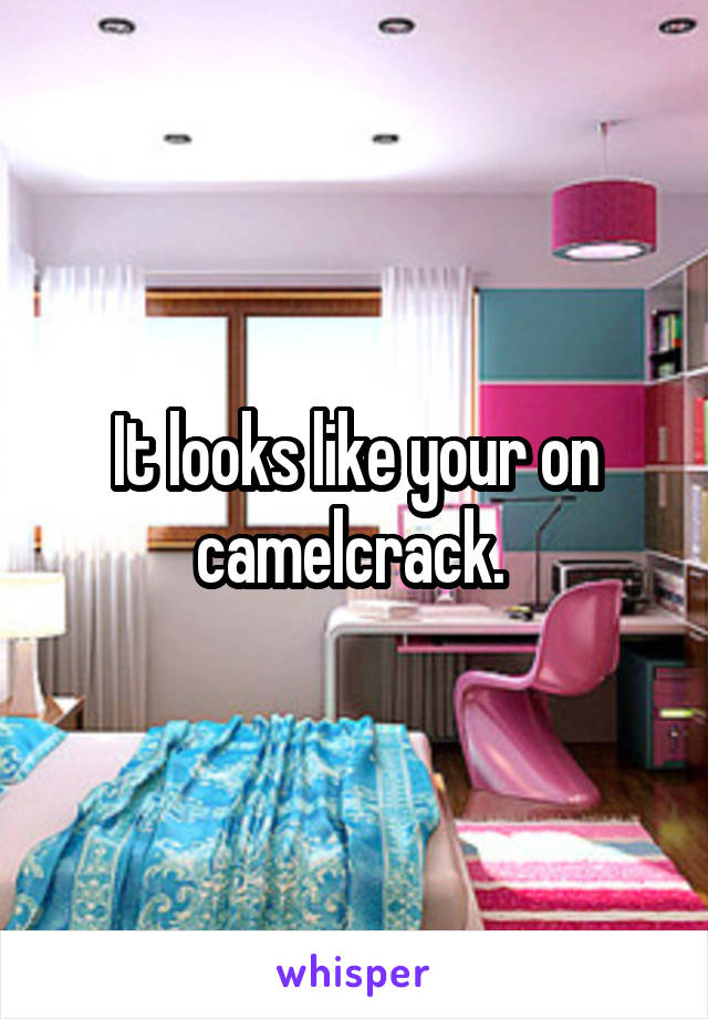 It looks like your on camelcrack. 