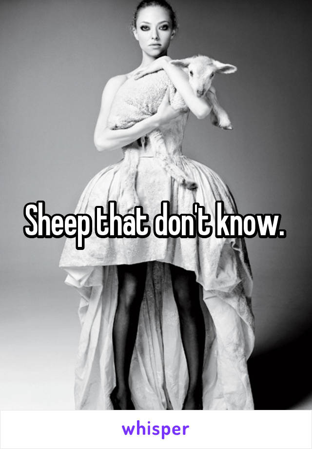 Sheep that don't know. 