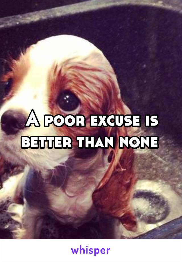 A poor excuse is better than none 