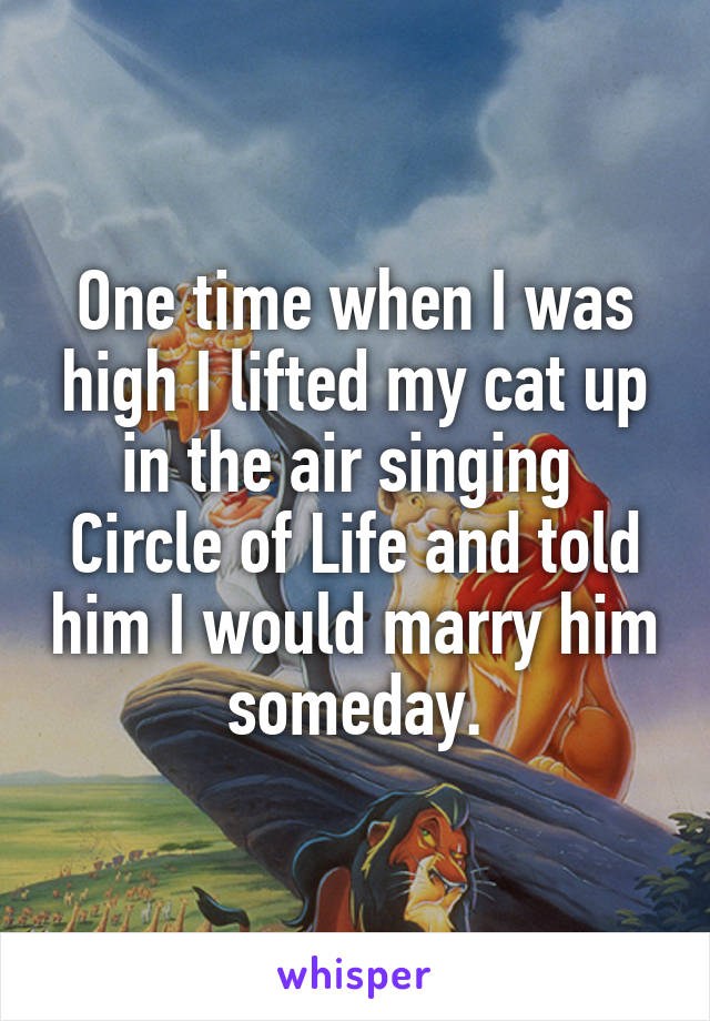 One time when I was high I lifted my cat up in the air singing  Circle of Life and told him I would marry him someday.