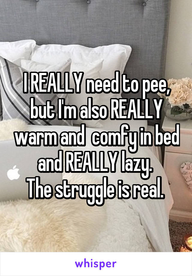 I REALLY need to pee, but I'm also REALLY warm and  comfy in bed and REALLY lazy. 
The struggle is real. 