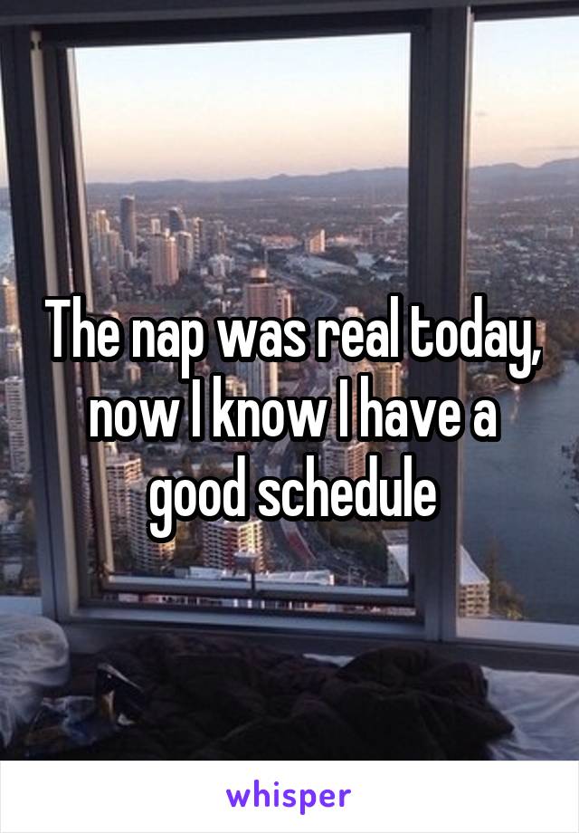 The nap was real today, now I know I have a good schedule