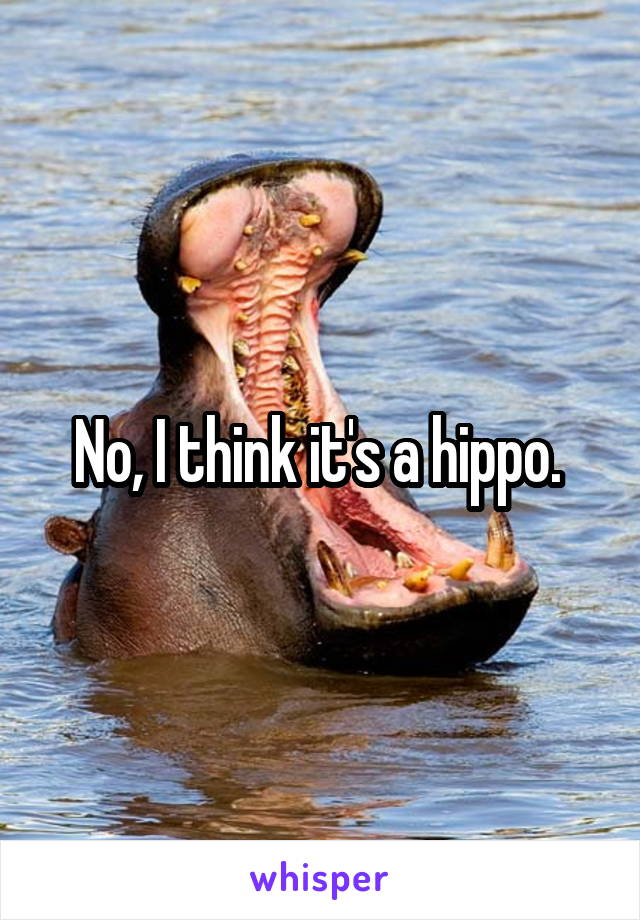 No, I think it's a hippo. 