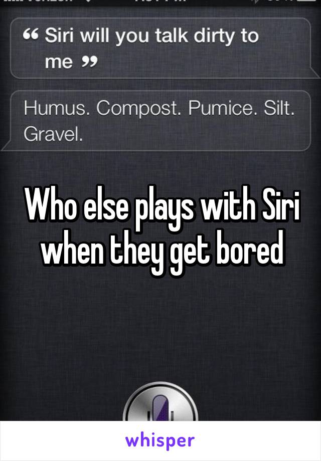 Who else plays with Siri when they get bored