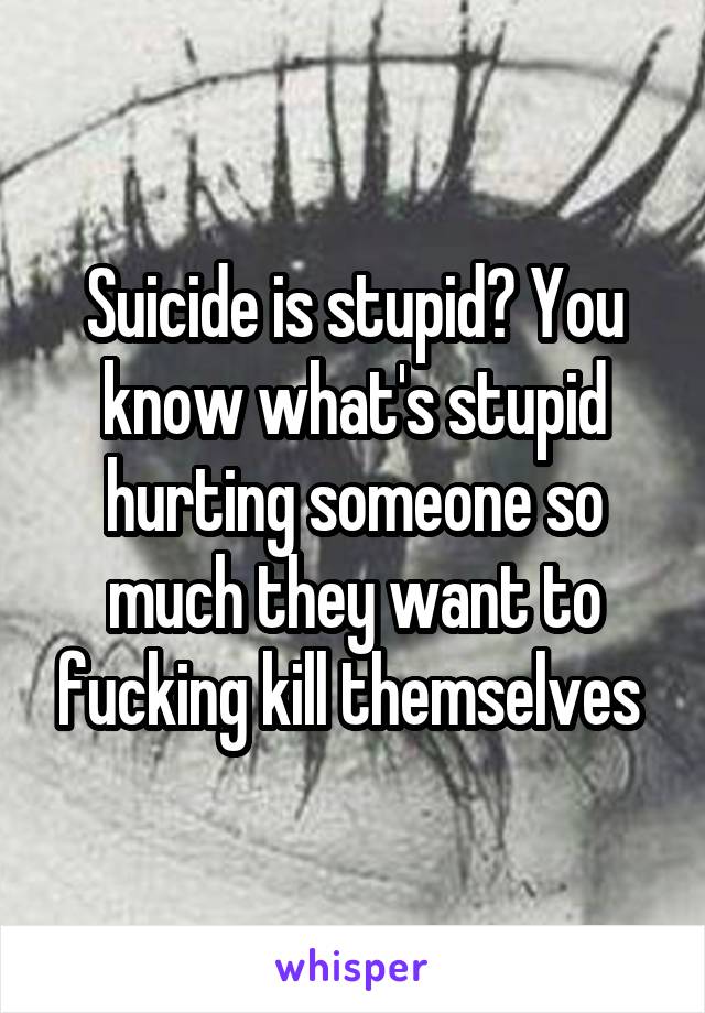 Suicide is stupid? You know what's stupid hurting someone so much they want to fucking kill themselves 