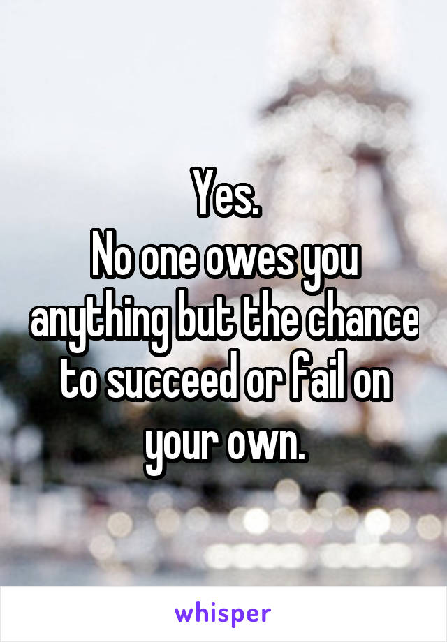 Yes.
No one owes you anything but the chance to succeed or fail on your own.