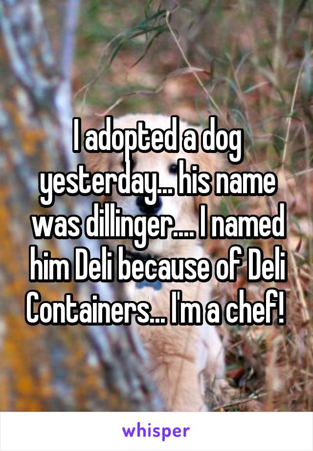 I adopted a dog yesterday... his name was dillinger.... I named him Deli because of Deli Containers... I'm a chef! 