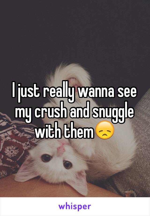 I just really wanna see my crush and snuggle with them😞