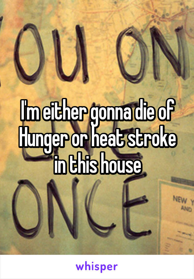 I'm either gonna die of Hunger or heat stroke in this house