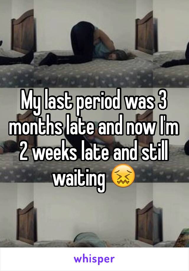 My last period was 3 months late and now I'm 2 weeks late and still waiting 😖