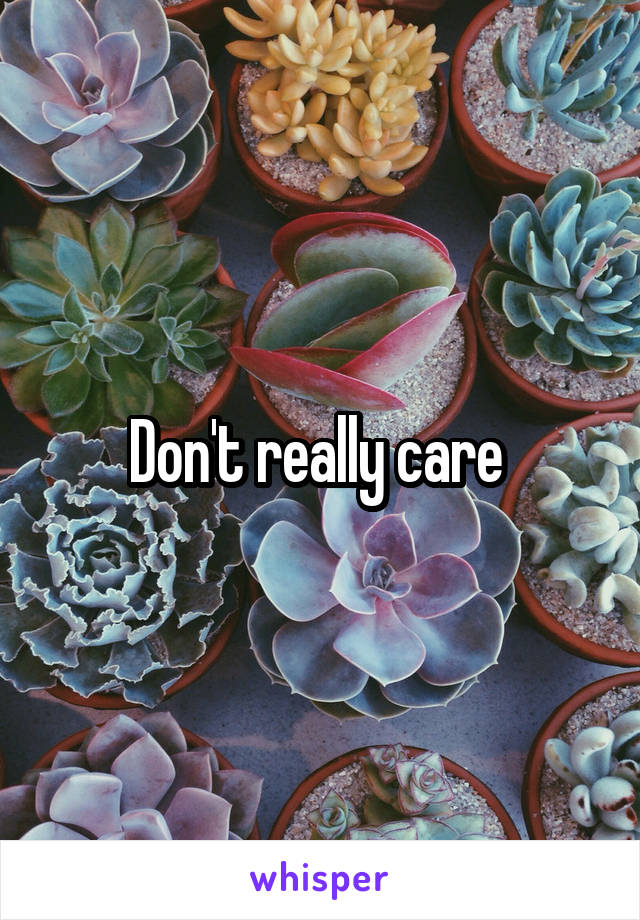 Don't really care 