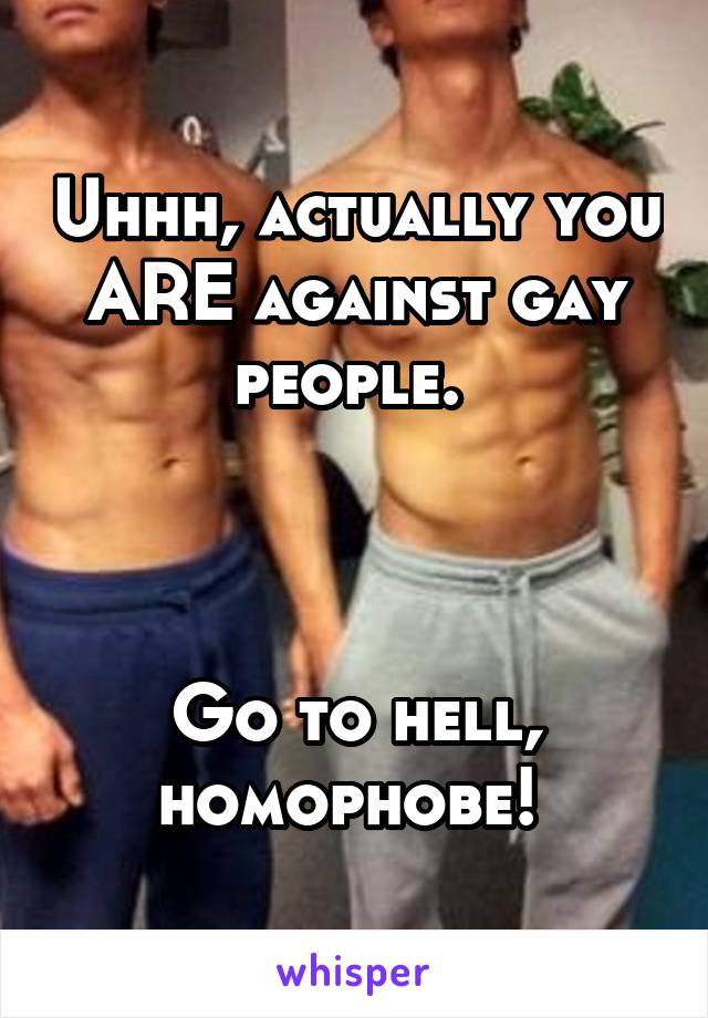 Uhhh, actually you ARE against gay people. 



Go to hell, homophobe! 