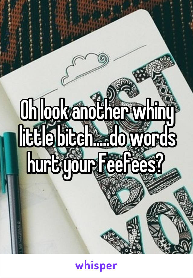 Oh look another whiny little bitch.....do words hurt your Feefees? 