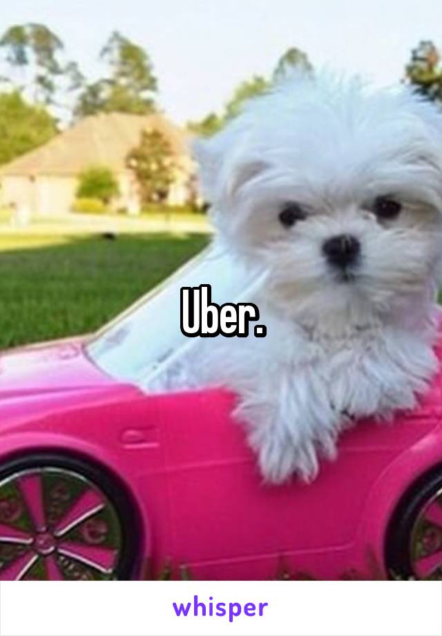 Uber.