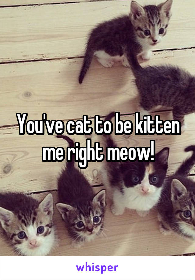 You've cat to be kitten me right meow!