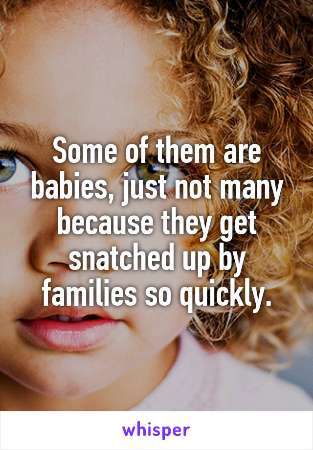 Some of them are babies, just not many because they get snatched up by families so quickly.