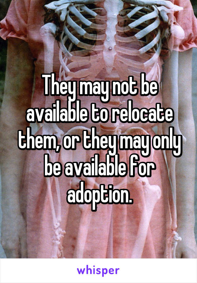 They may not be available to relocate them, or they may only be available for adoption.