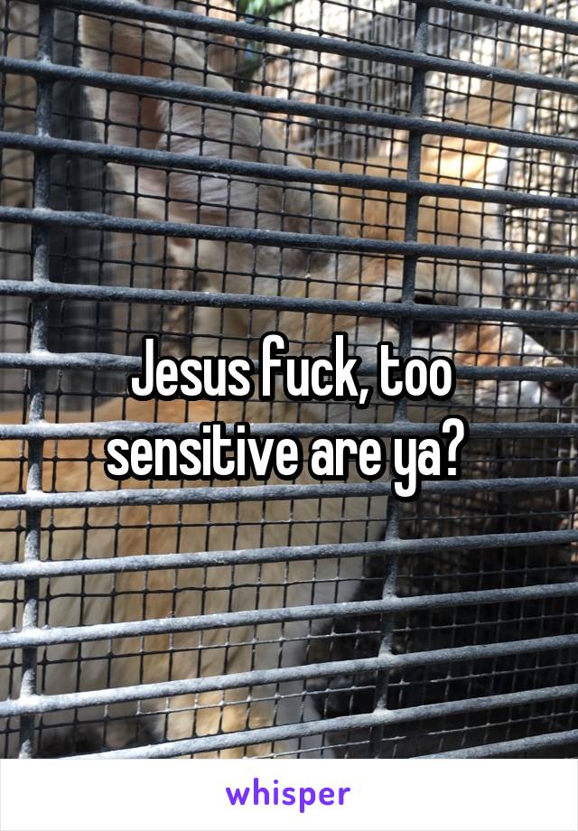 Jesus fuck, too sensitive are ya? 