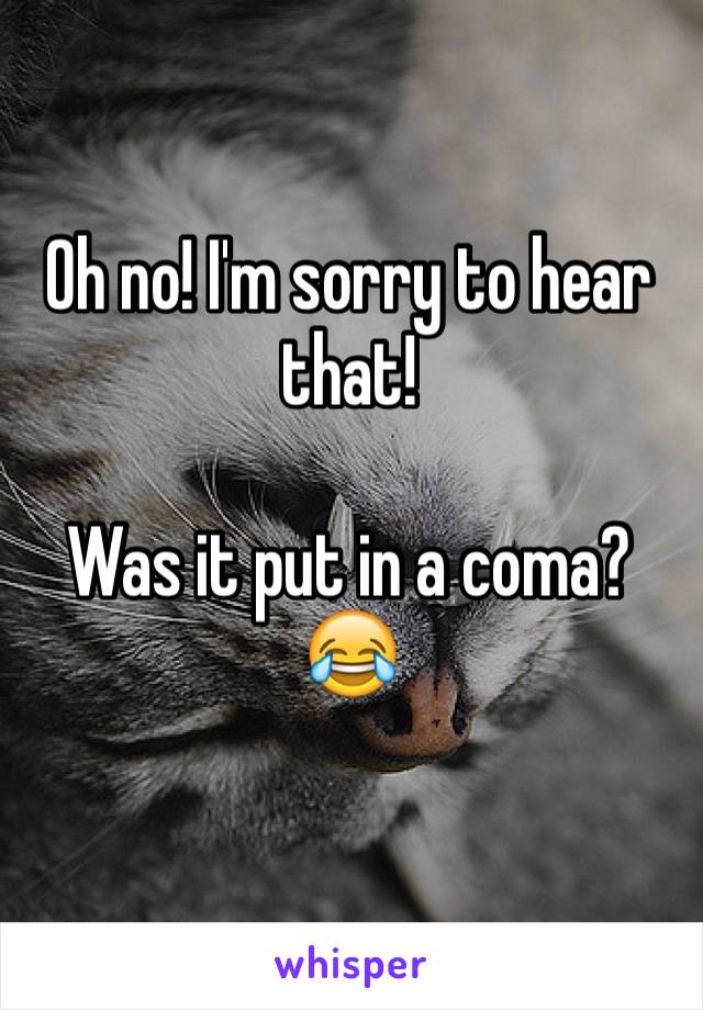 Oh no! I'm sorry to hear that! 

Was it put in a coma? 😂
