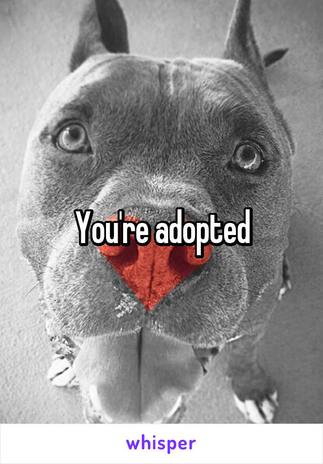 You're adopted