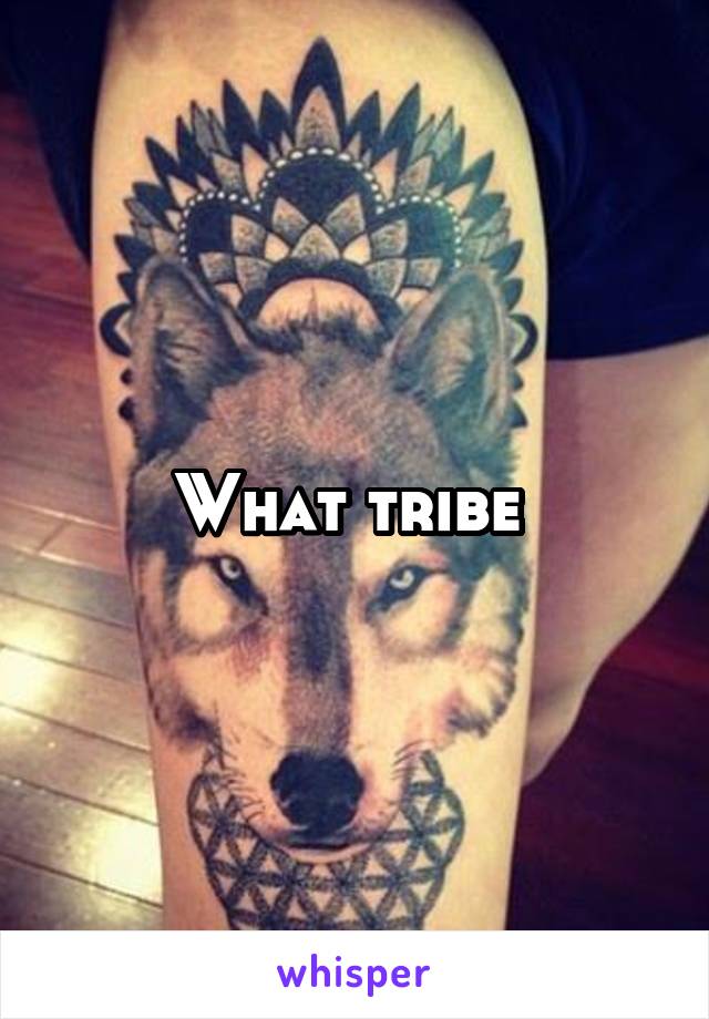 What tribe 