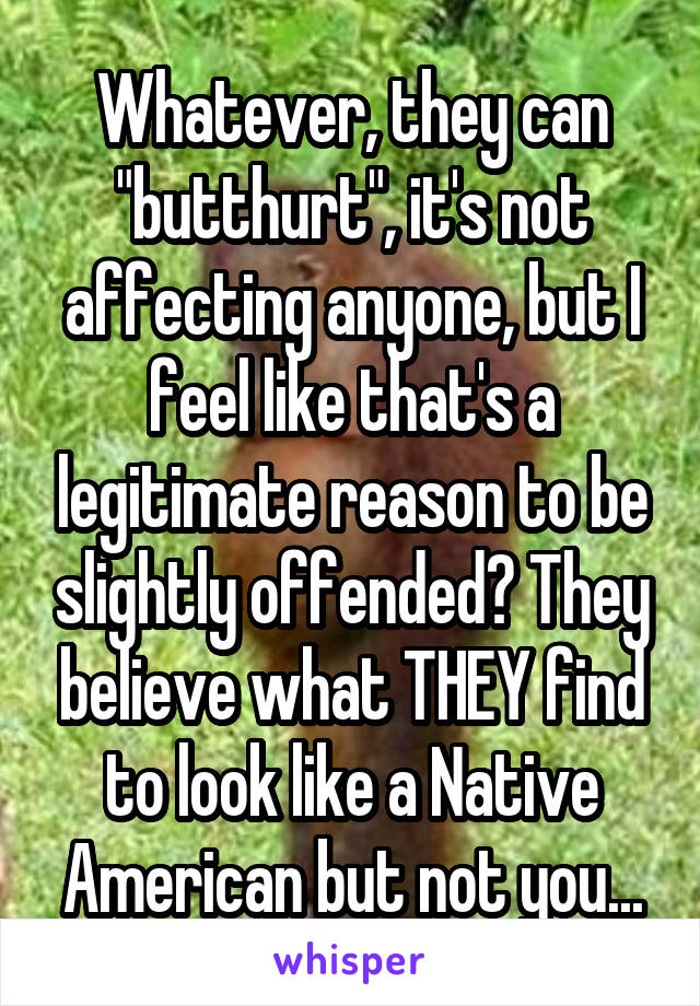 Whatever, they can "butthurt", it's not affecting anyone, but I feel like that's a legitimate reason to be slightly offended? They believe what THEY find to look like a Native American but not you...