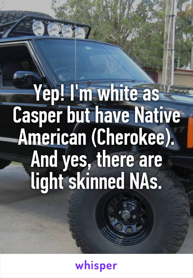 Yep! I'm white as Casper but have Native American (Cherokee). And yes, there are light skinned NAs.