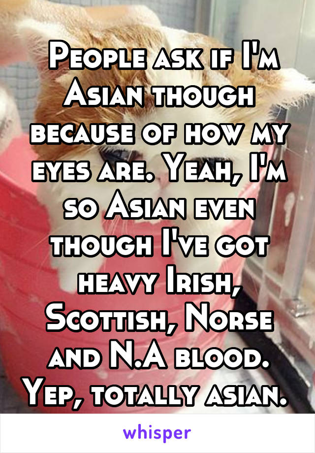  People ask if I'm Asian though because of how my eyes are. Yeah, I'm so Asian even though I've got heavy Irish, Scottish, Norse and N.A blood. Yep, totally asian. 