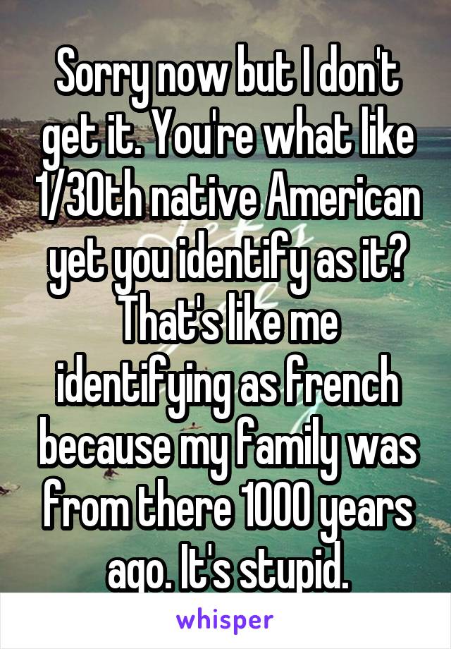 Sorry now but I don't get it. You're what like 1/30th native American yet you identify as it? That's like me identifying as french because my family was from there 1000 years ago. It's stupid.