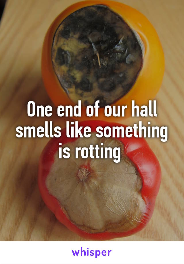 One end of our hall smells like something is rotting 