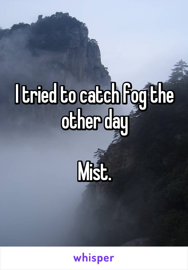 I tried to catch fog the other day

Mist.