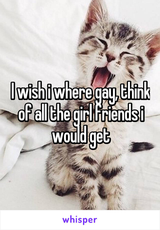 I wish i where gay, think of all the girl friends i would get