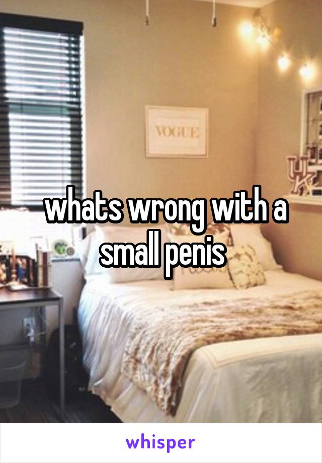  whats wrong with a small penis