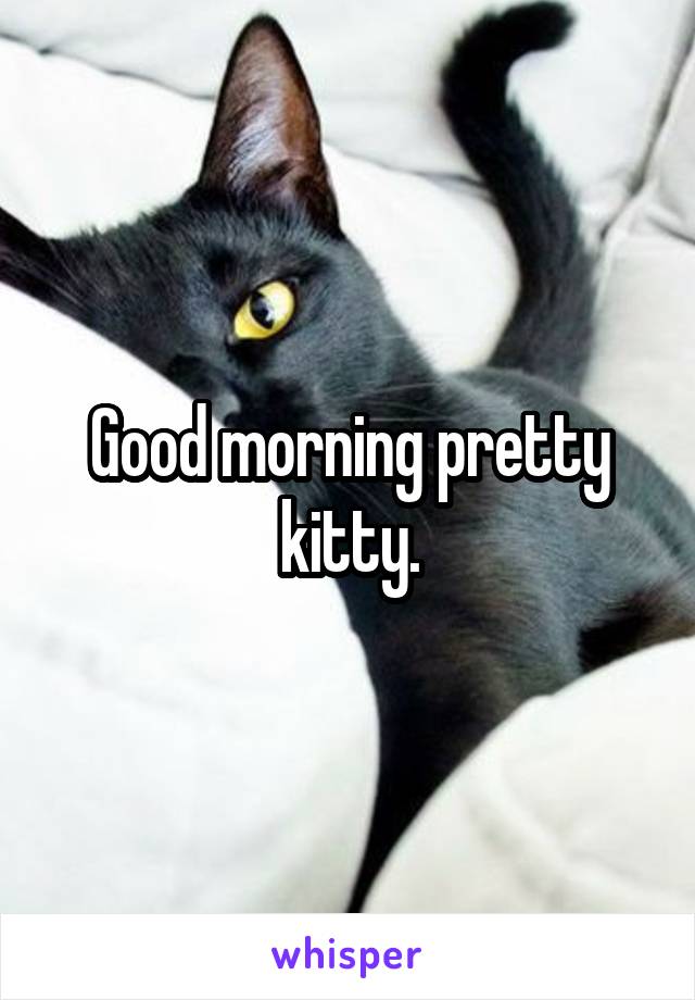 Good morning pretty kitty.